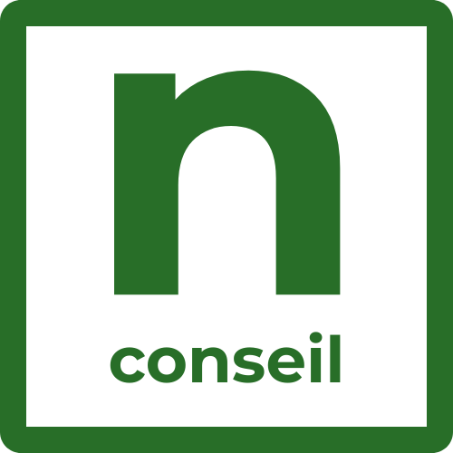 n conseil - Conseil en système d'information
